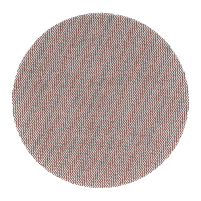 DISC ABR PG MESH 125MM G.80- 10pz